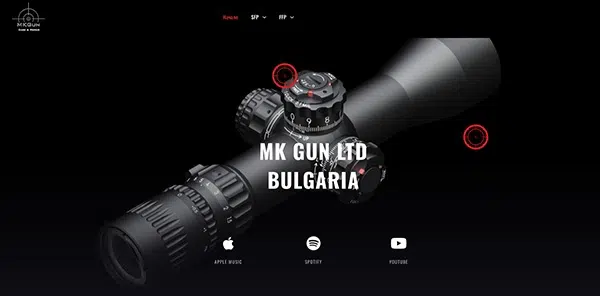 Изрзботка на сайтове Mkgun за